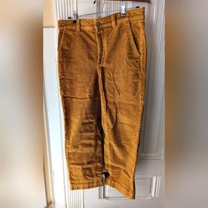 Everlane Corduroy Wide-Leg Pant